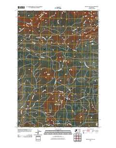 McKays Butte 2011 topographic map thumbnail