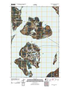 McNeil Island 2011 topographic map thumbnail