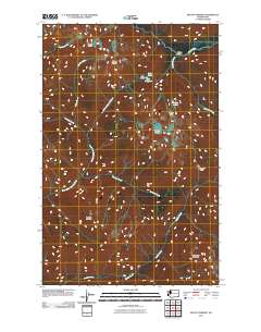 Mount Christie 2011 topographic map thumbnail