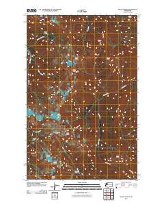 Mount Queets 2011 topographic map thumbnail