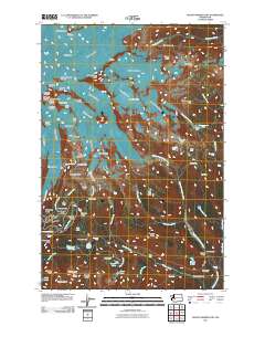 Mount Rainier East 2011 topographic map thumbnail