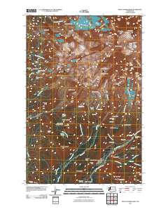 Mount Rainier West 2011 topographic map thumbnail
