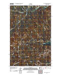 Mount Spokane 2011 topographic map thumbnail