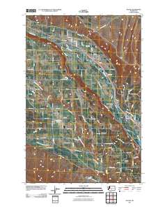 Naches 2011 topographic map thumbnail