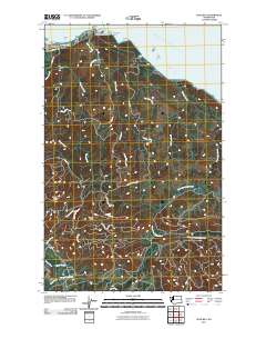 Neah Bay 2011 topographic map thumbnail