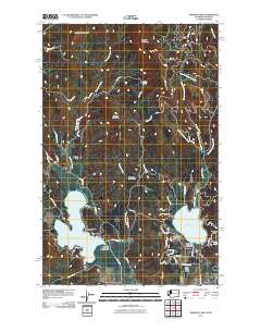 Newman Lake 2011 topographic map thumbnail