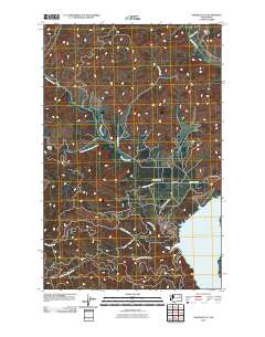 Ninemile Flat 2011 topographic map thumbnail