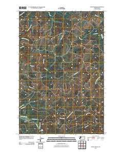 North Nemah 2011 topographic map thumbnail