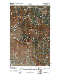 Omak Mountain 2011 topographic map thumbnail