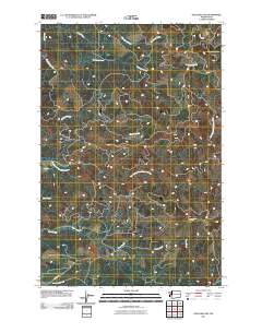 Onalaska NW 2011 topographic map thumbnail