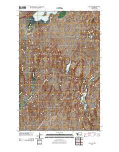 Palm Lake 2011 topographic map thumbnail