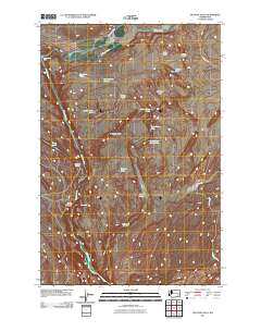 Palouse Falls 2011 topographic map thumbnail