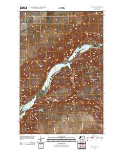 Park Lake 2011 topographic map thumbnail