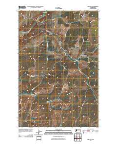 Pine City 2011 topographic map thumbnail