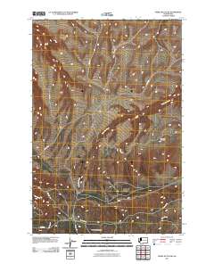Poisel Butte SW 2011 topographic map thumbnail