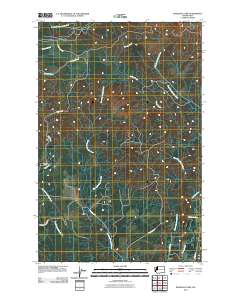 Railroad Camp 2011 topographic map thumbnail