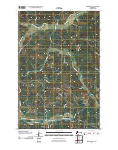 Rainbow Falls 2011 topographic map thumbnail