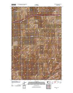 Reiman SE 2011 topographic map thumbnail