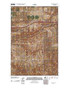 Reiman SW 2011 topographic map thumbnail