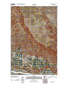 Rock Island 2011 topographic map thumbnail