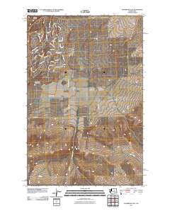 Sagebrush Flat 2011 topographic map preview