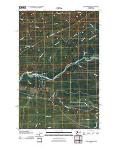 Salmon River West 2011 topographic map thumbnail