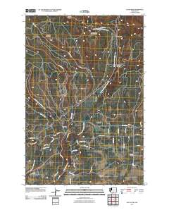 Satus Pass 2011 topographic map thumbnail