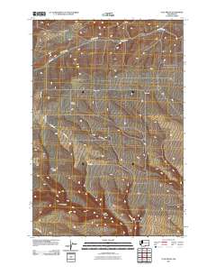Tule Prong 2011 topographic map thumbnail