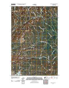 Turtle Lake 2011 topographic map thumbnail