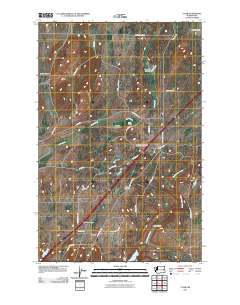 Tyler 2011 topographic map thumbnail