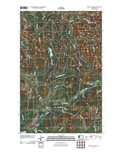 Umbrella Creek 2011 topographic map thumbnail