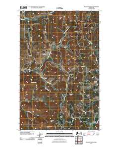 Wellington Peak 2011 topographic map thumbnail