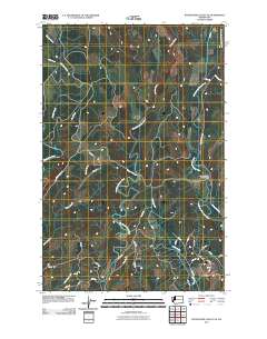 Wynoochee Valley NE 2011 topographic map thumbnail