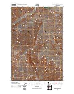 Washtucna South 2011 topographic map thumbnail