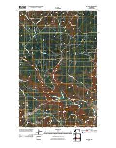 Wellpinit 2011 topographic map thumbnail