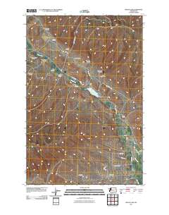 Wenas Lake 2011 topographic map thumbnail
