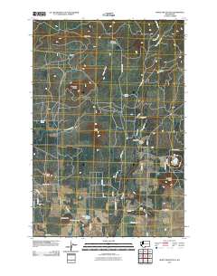 White Pine Buttes 2011 topographic map thumbnail