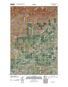 White Swan 2011 topographic map thumbnail