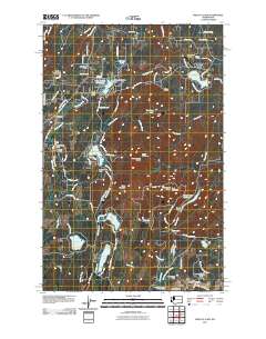 Wildcat Lake 2011 topographic map thumbnail