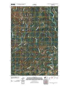 Wynoochee Valley NW 2011 topographic map thumbnail
