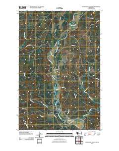 Wynoochee Valley SW 2011 topographic map thumbnail