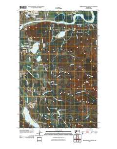 Sedro-Woolley South 2011 topographic map thumbnail