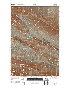 Selah Springs 2011 topographic map thumbnail