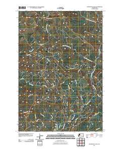 Skamokawa Pass 2011 topographic map thumbnail