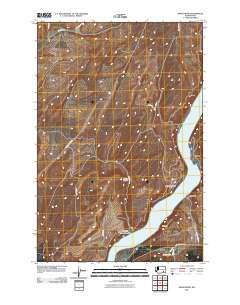 Snake River 2011 topographic map thumbnail