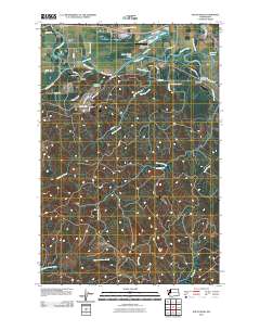 South Elma 2011 topographic map thumbnail