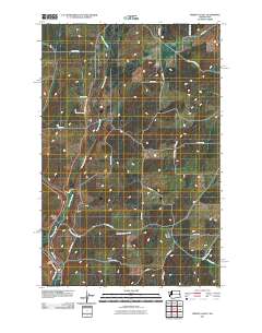 Spring Valley 2011 topographic map thumbnail