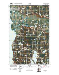 Stanwood 2011 topographic map thumbnail