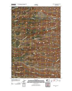 Stray Gulch 2011 topographic map thumbnail