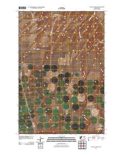 Taylor Canyon 2011 topographic map thumbnail